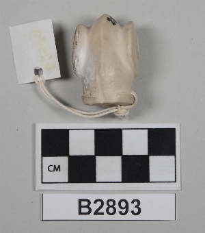 B2893