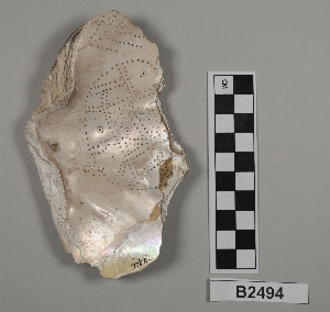 B2494