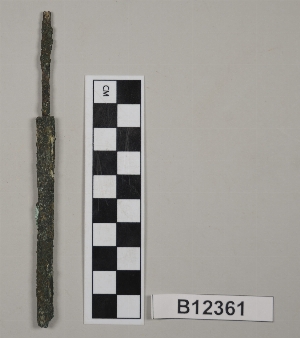 B12361