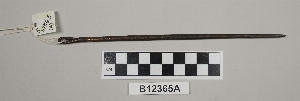 B12365A