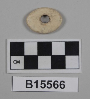 B15566