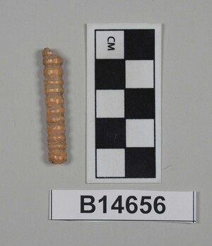 B14656