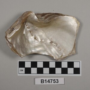 B14753