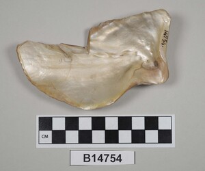 B14754
