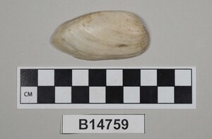 B14759