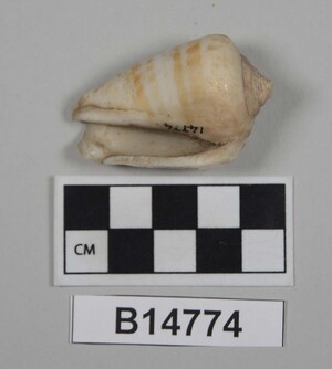 B14774