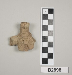 B2898