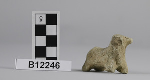 B12246