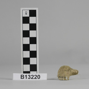 B13220