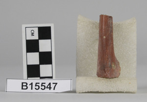 B15547