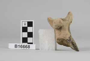 B16668