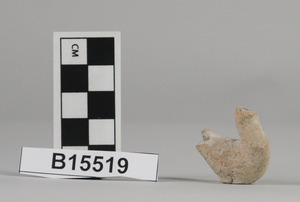 B15519