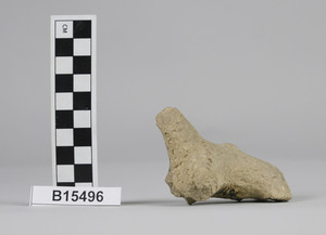 B15496