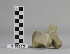 B15536G