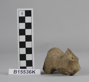 B15536K