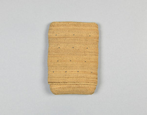 NA8199