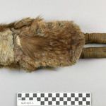956419