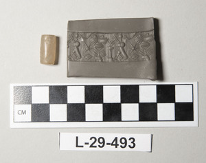 L-29-493A