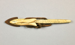 NA8557.2