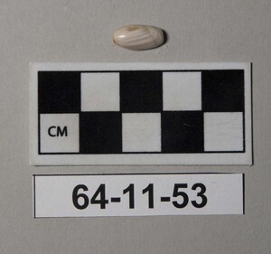64-11-53