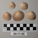 958465