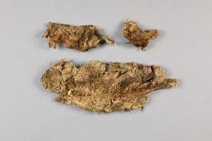 CG090388-4221