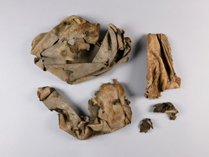 CG090388-4223