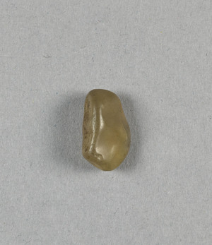 CG090388-4241