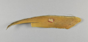 CG210688-2378