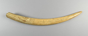 CG220288-4165