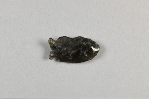 CG090588-2358