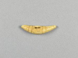 CG090288-4057