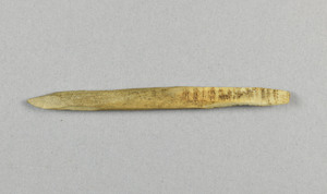 CG090388-4261