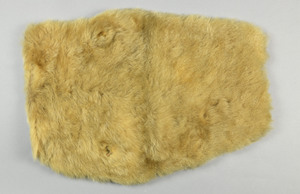 NA1199