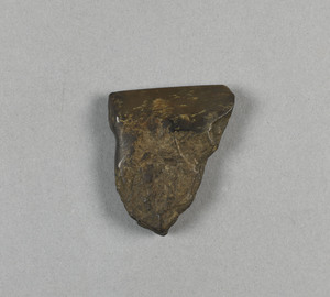 NA1162
