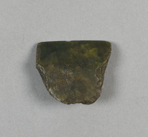 NA1169