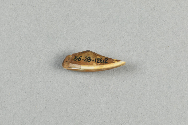 962704