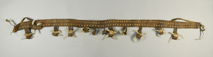 NA299