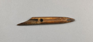 NA829