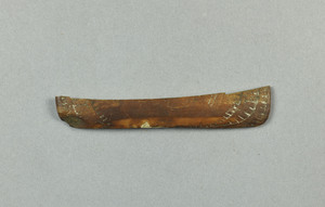 NA881