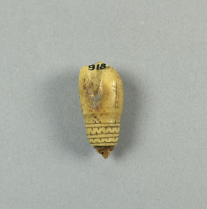 NA918A