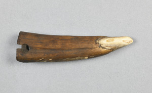 CG090388-4246