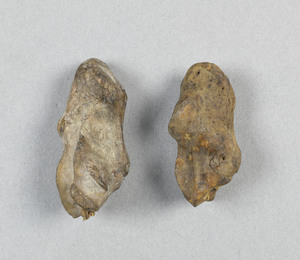 CG090388-4249