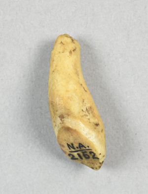 NA2162.1