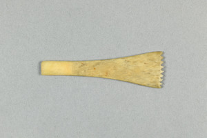 CG090388-4217