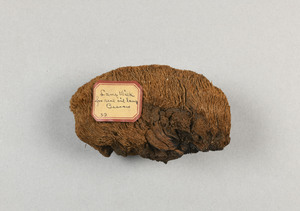 CG260288-4166