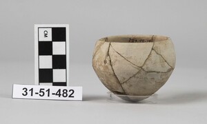 31-51-482