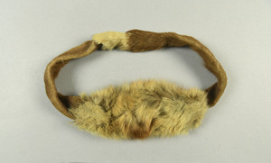 NA293