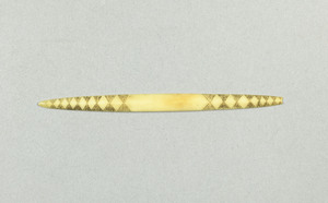 NA3921.1