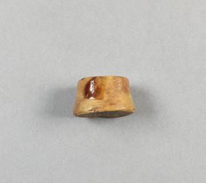 NA1082K